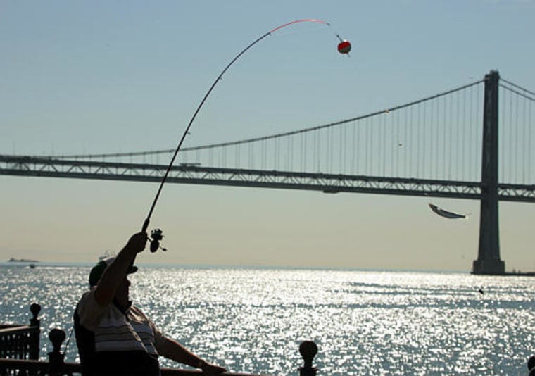 Get up close and personal with your prey in San Francisco during an afternoon of kayak fishing for halibut while enjoying a spectacular view of the Golden Gate Bridge in between bites.